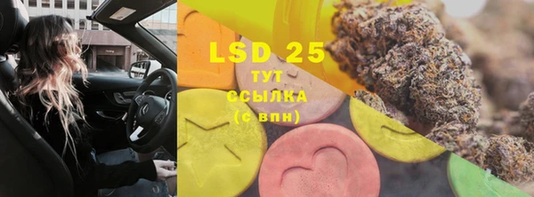 экстази Ельня