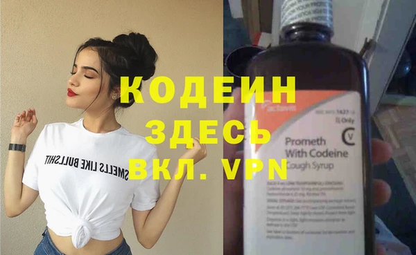 индика Елизово