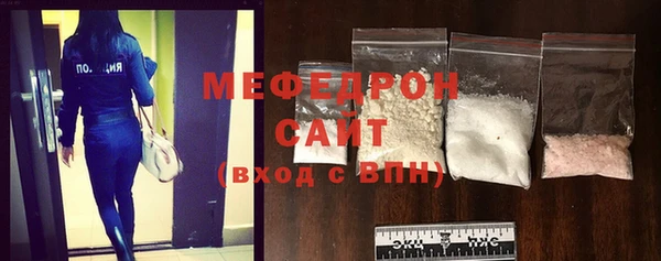 индика Елизово
