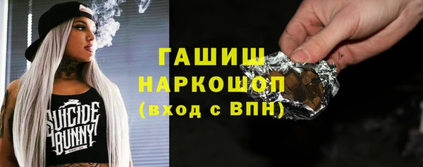индика Елизово