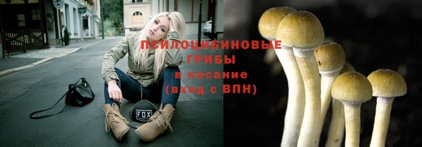 индика Елизово