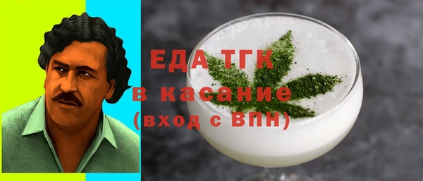 индика Елизово