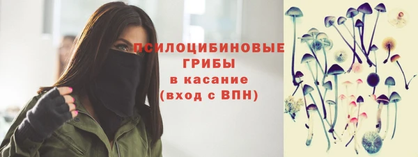 индика Елизово