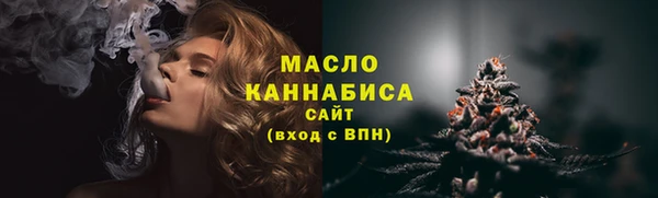 индика Елизово