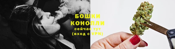 экстази Ельня