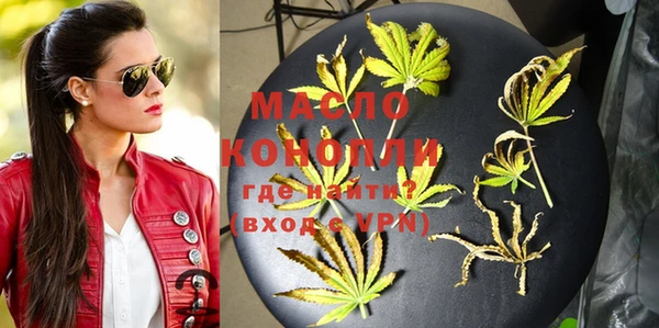 индика Елизово