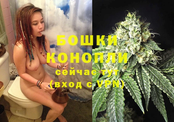 индика Елизово