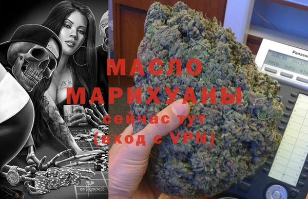 индика Елизово