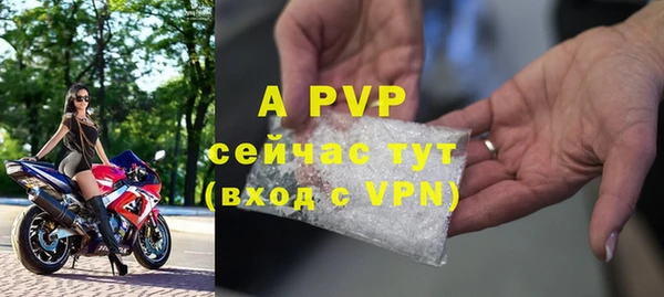 индика Елизово