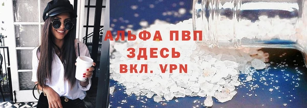 индика Елизово