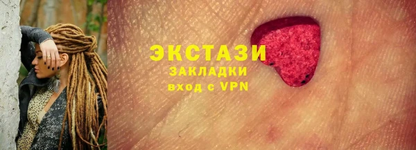 индика Елизово