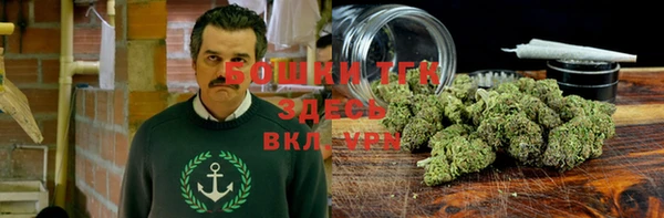 индика Елизово