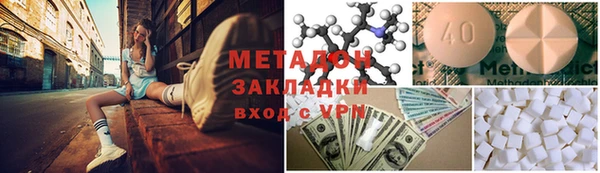 индика Елизово