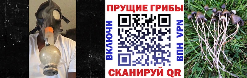 Галлюциногенные грибы Magic Shrooms  Ивантеевка 