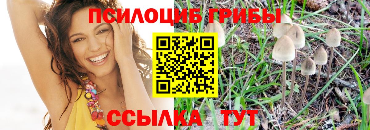 Ивантеевка  Псилоцибиновые грибы Cubensis  Вход с VPN 