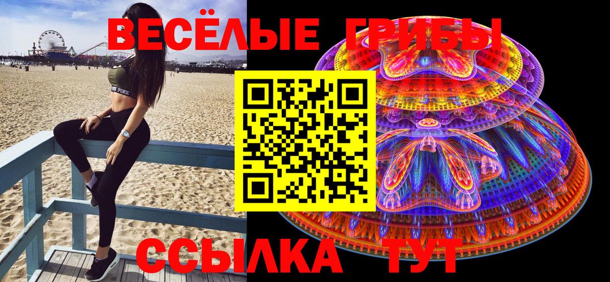 Псилоцибиновые грибы прущие грибы Ивантеевка